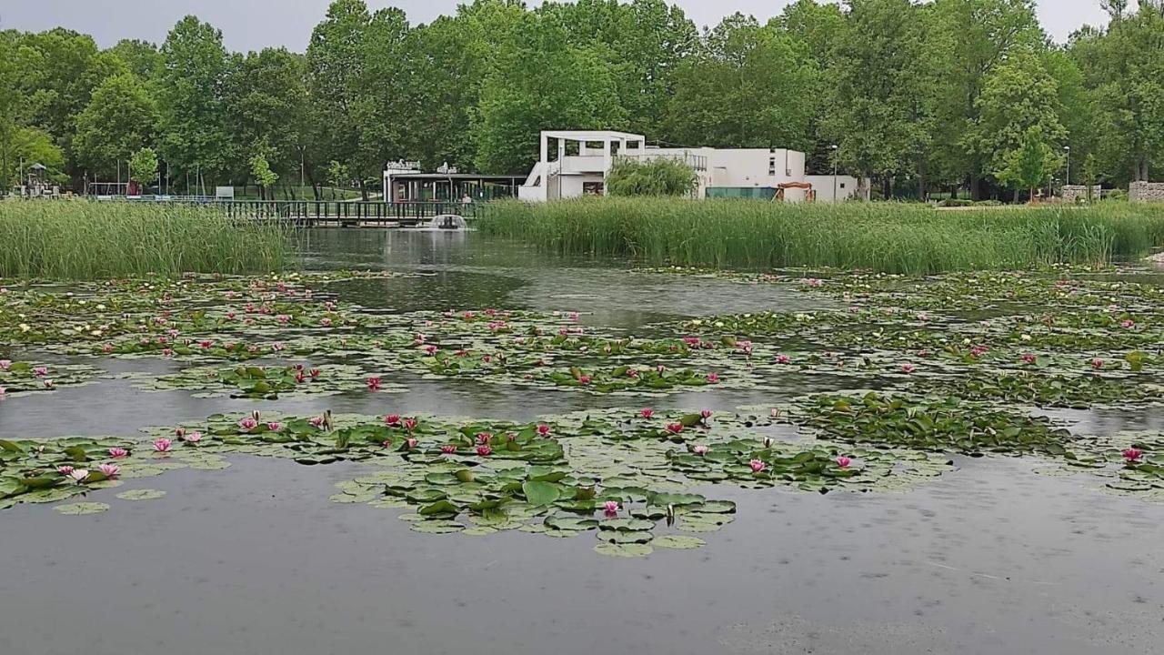 Silence Apartmanhaz Zalakaros Bagian luar foto